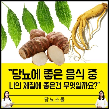 2019년 12월 17일 당뇨 소식지