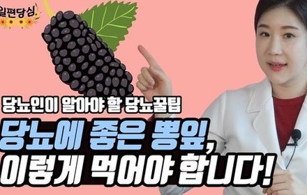 [당뇨스쿨] 뽕잎이 당뇨에 도움을 준다?