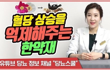 [당뇨스쿨] 혈당 상승을 억제해주는 한약재?