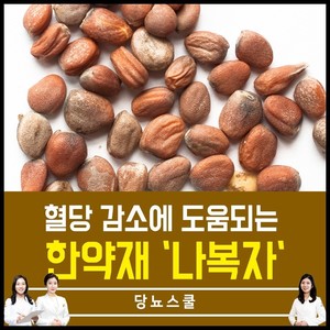 2020년 02월 20일 당뇨 소식지