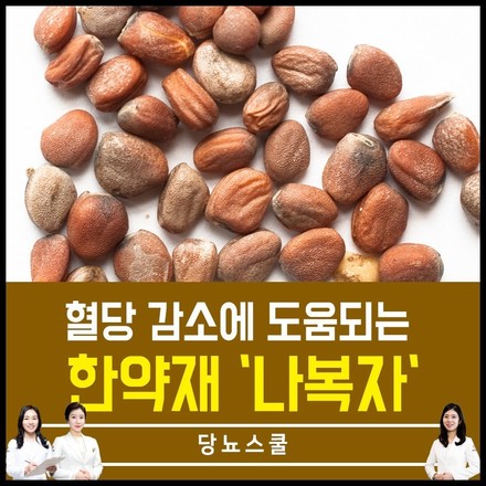 2020년 02월 20일 당뇨 소식지