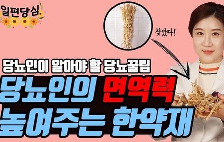 [당뇨스쿨] 면역력과 황기