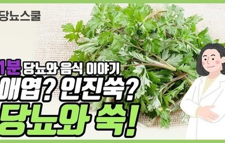 [당뇨스쿨] 당뇨에 좋다는 '쑥' 이야기