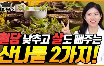 [당뇨스쿨] 건강하게 살도 빼고, 당뇨 극복도 돕는 산나물 2가지