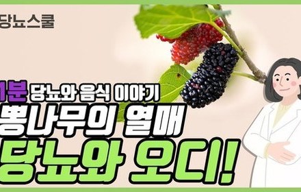 [당뇨스쿨] 당뇨에 좋다는 "오디" 이야기