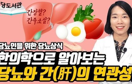 [당뇨스쿨] 당뇨와 관련된 간(肝)의 기능을 한의학적으로 해석하면?