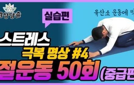 [당뇨스쿨] 중급편 - 부담스럽지 않은 절명상 50회!