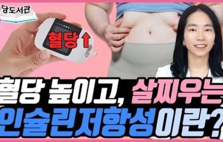 [당뇨스쿨] 당뇨와 비만 탈출에 중요한 인슐린저항성