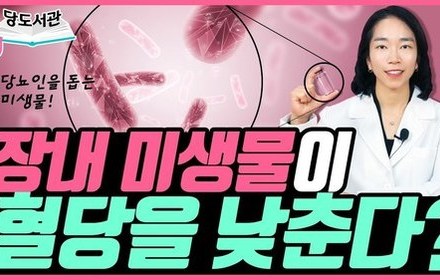 [당뇨스쿨] 장내 미생물을 개선하면, 당뇨가 치료됩니다!