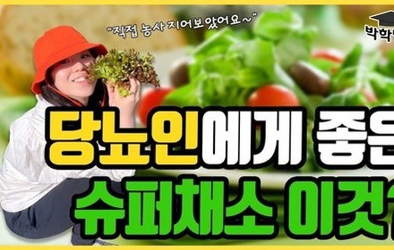 [당뇨스쿨] 당뇨인이라면 비타민, 미네랄은 이 채소로 채워보세요!