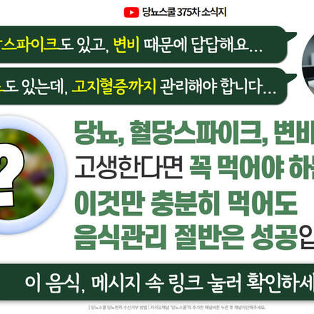 24년 8월 8일 당뇨 소식지