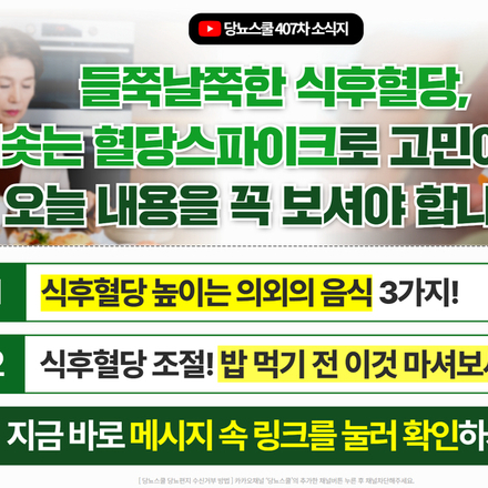 24년 12월 3일 당뇨 소식지