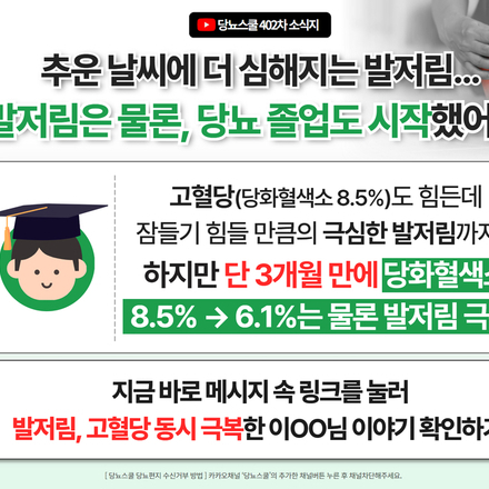 24년 11월 14일 당뇨 소식지