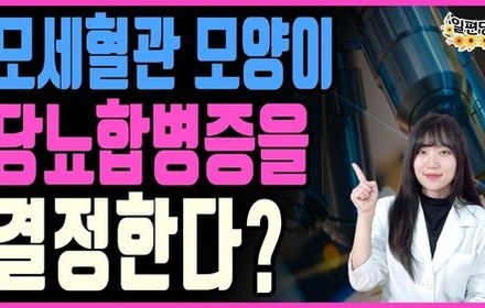 [당뇨스쿨] 당뇨합병증을 예측할 수 있는 모세혈관 모양!