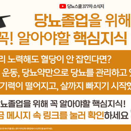 24년 8월 16일 당뇨 소식지