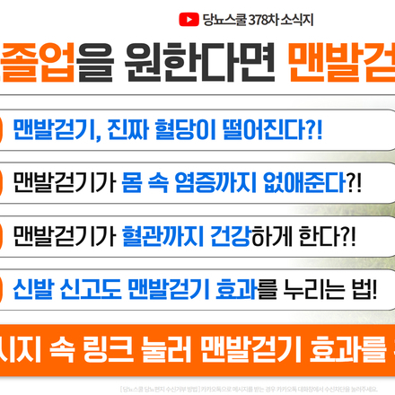 24년 8월 20일 당뇨 소식지