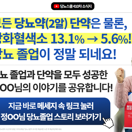 2024년 12월 12일 당뇨 소식지