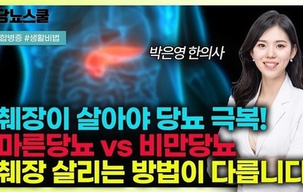 [당뇨스쿨] 마른당뇨인 vs 비만당뇨인, 체형별 맞춤 췌장회복 루틴 알려드립니다!