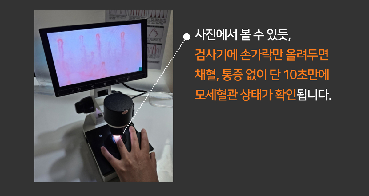 이미지명